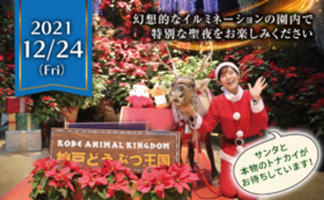 特別企画！クリスマスナイトご招待コース【12/24夜】