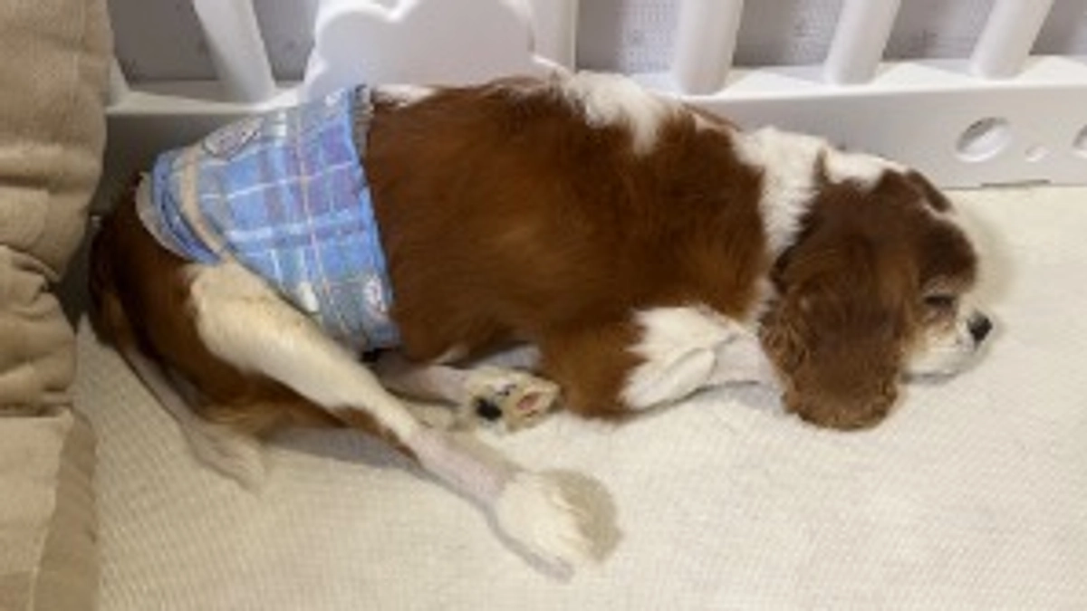 退院7日目。今日も変わらずゆっくり穏やかに☀️