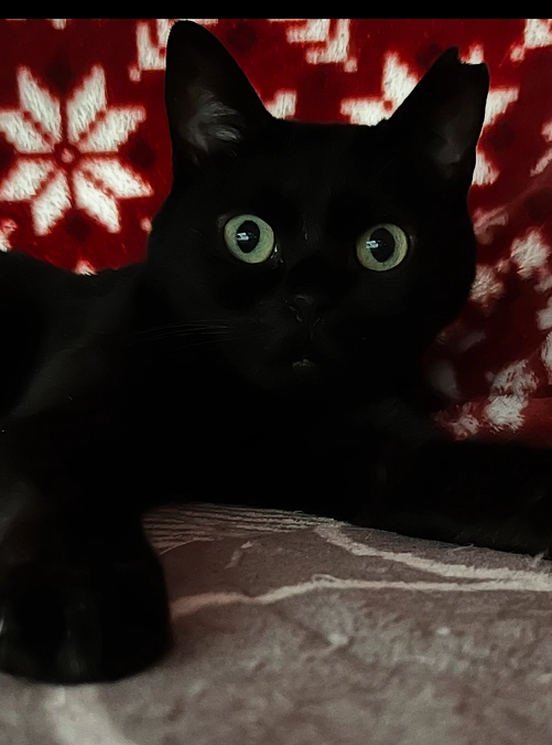 シェルターメインルーム