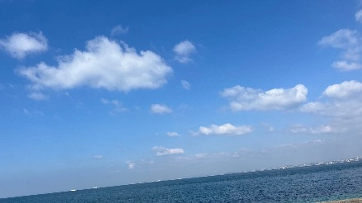 もう一つの渡航目的/Another purpose of our trip to NZ