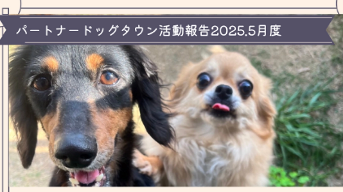 2025年5月度活動報告