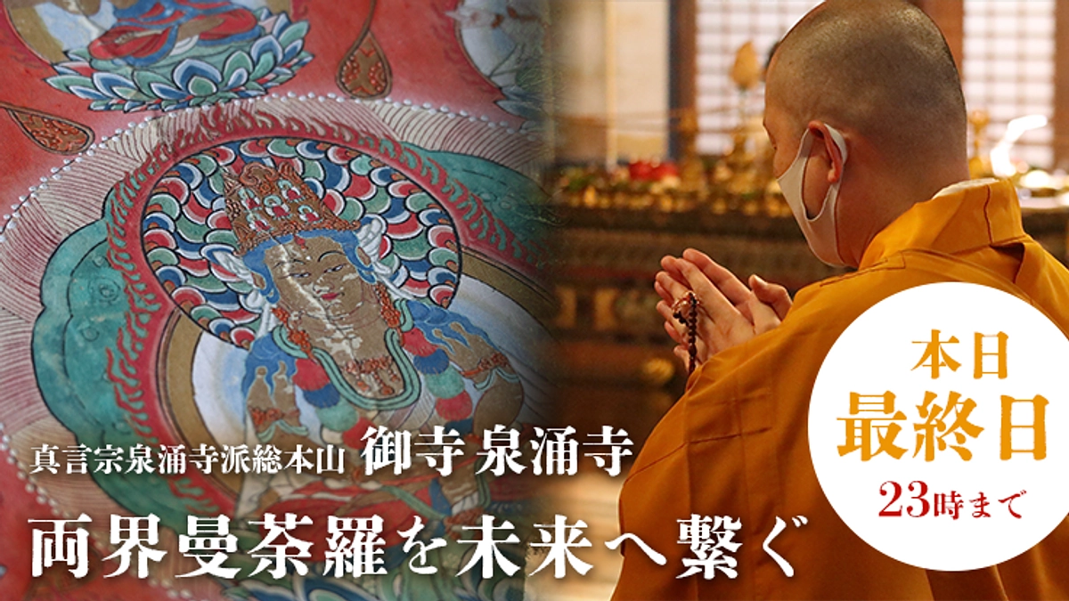 【最終日 23時まで】最後までよろしくお願いいたします