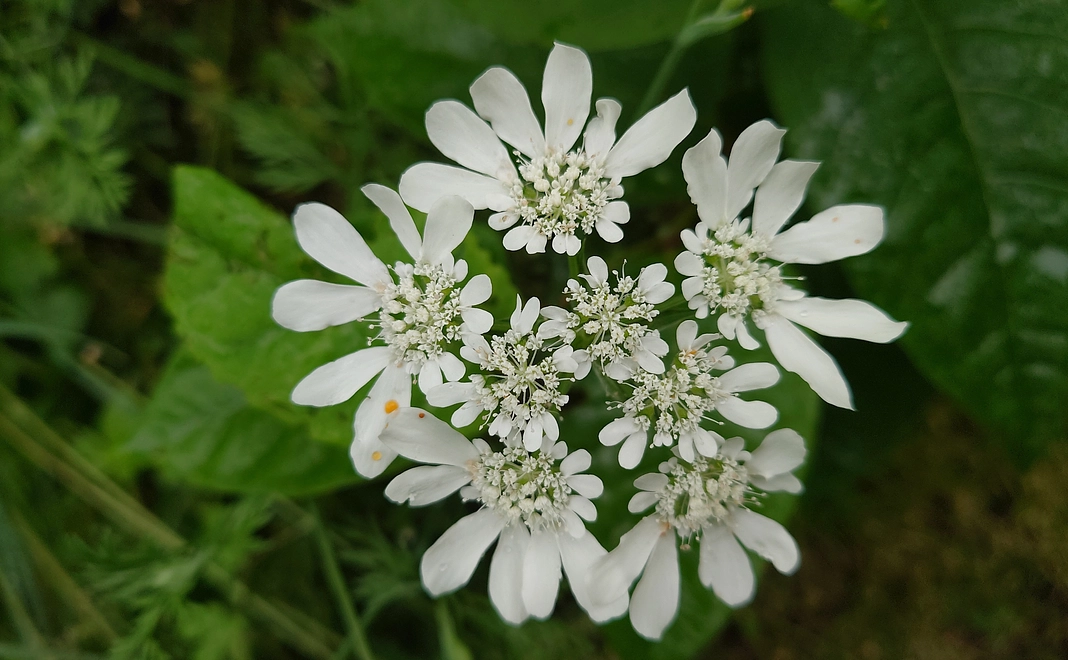 感謝のメールをおくります