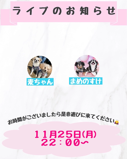 ライブのお知らせ