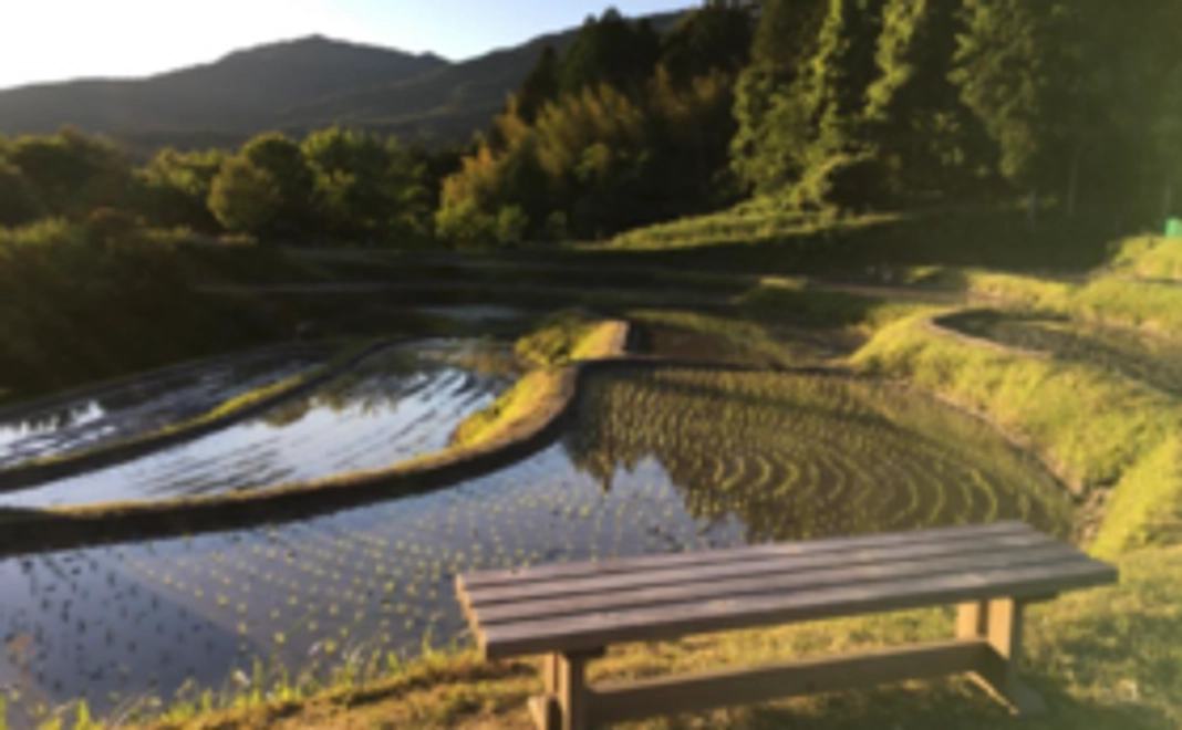 【最後のひと押し！】クレイシ棚田全力応援コース