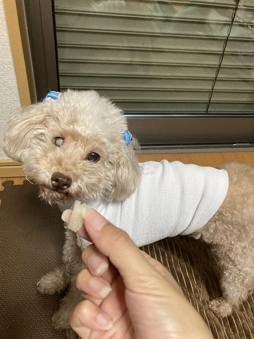 クラファン達成しました！