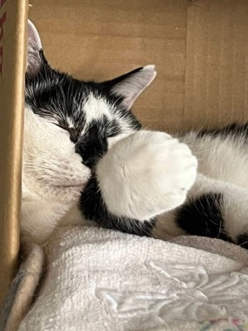 新さん、とらみちゃん、トライアルがんばっています！