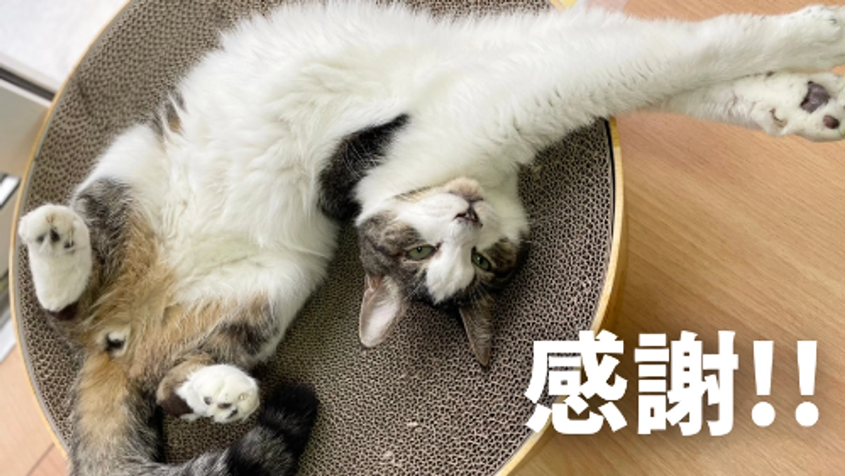 《感謝》第一目標金額達成！ネクストゴールに向かって