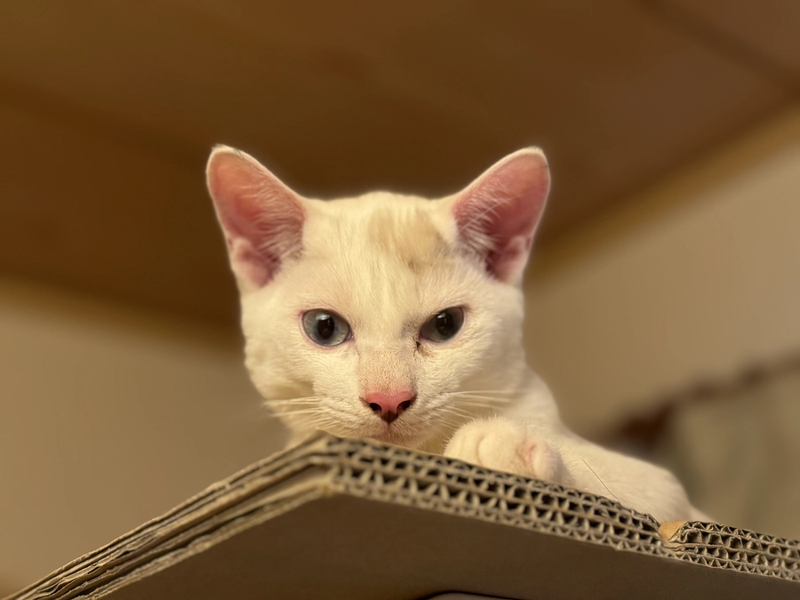 皆さまの心のこもったご支援に感謝