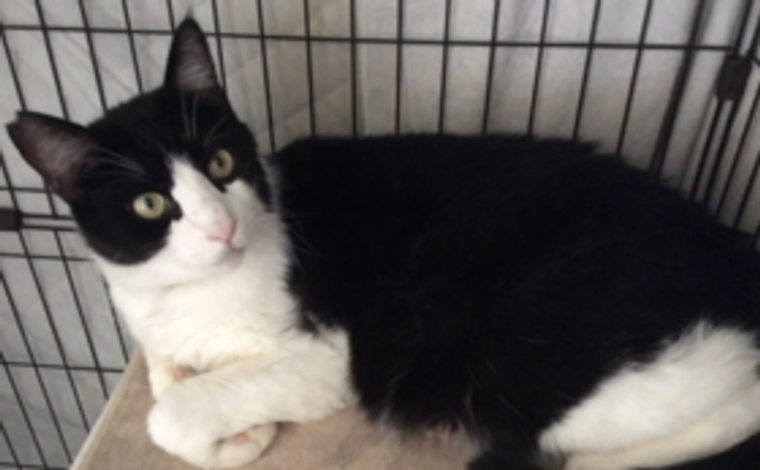 お気軽支援コース