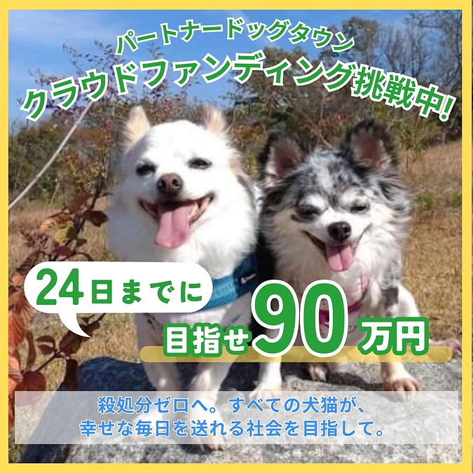 【24日までに90万円到達を目指して。あと45万円】望月の自己紹介と動物愛護に興味を持ったきっかけ