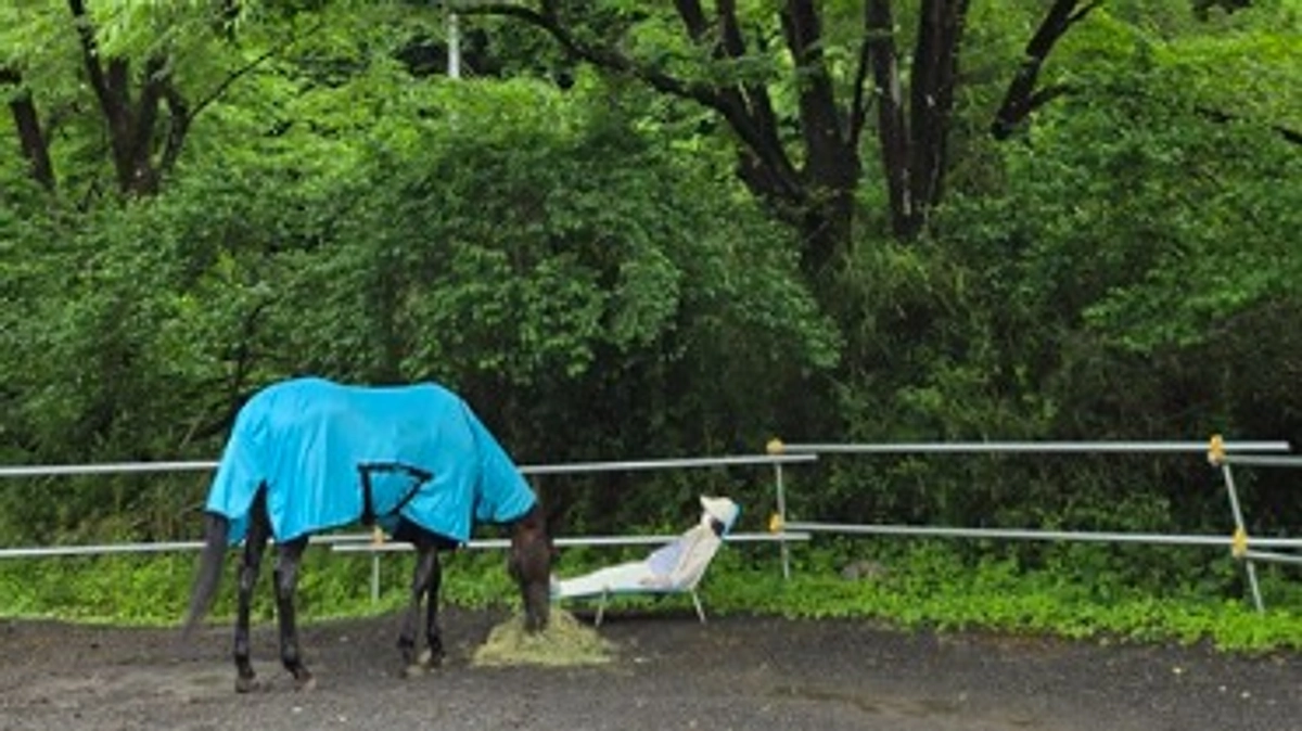 リターン【1Dayリトリート】に来ていただきました！