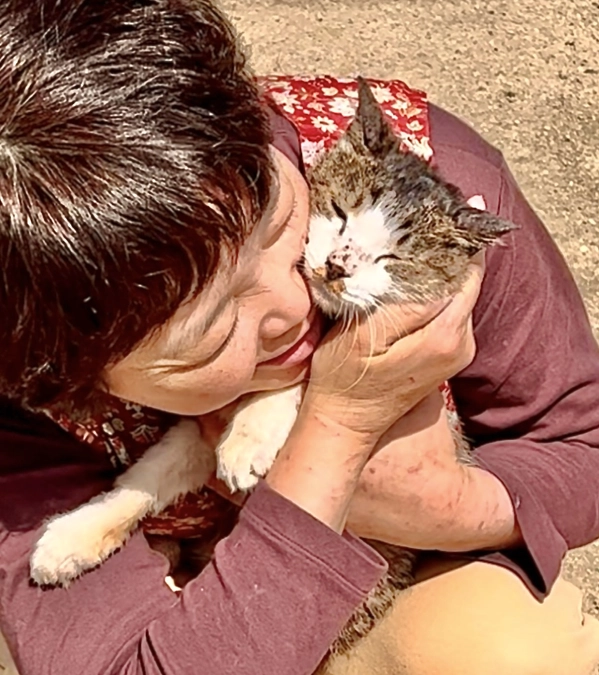 ナスト君と太陽