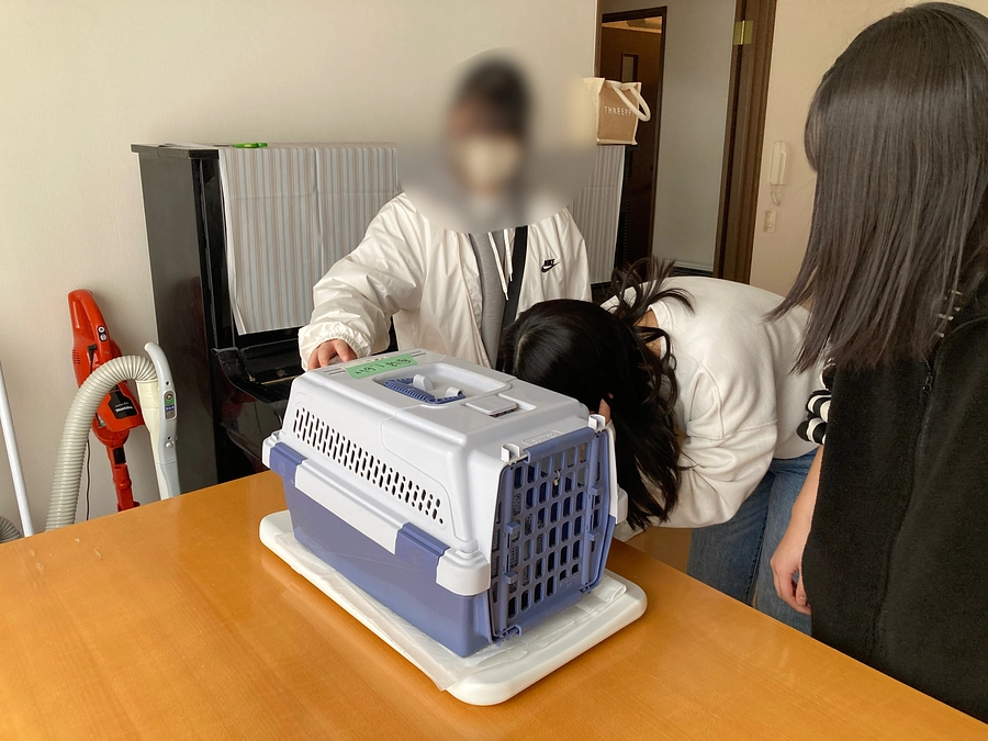 出張手術会場準備