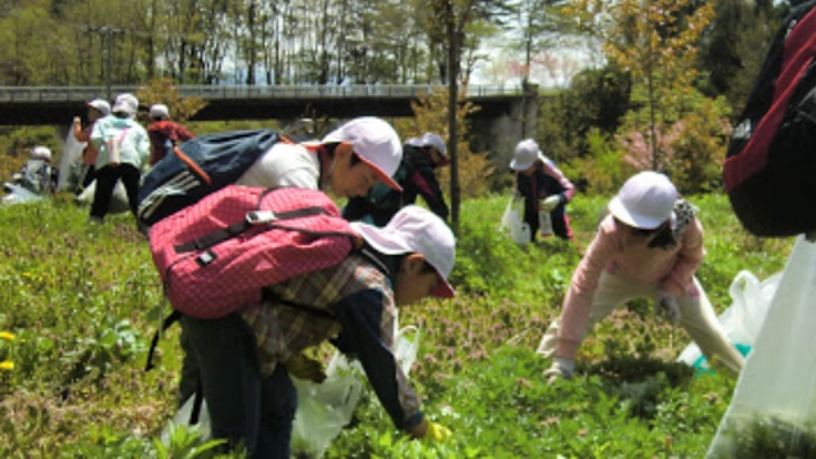 ヨモギ文庫の復活を!越後のヨモギ製品から学校図書の提供を!