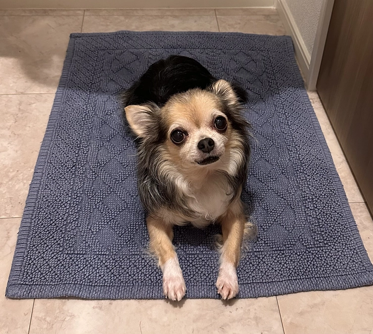 🦴最近思う事🦴