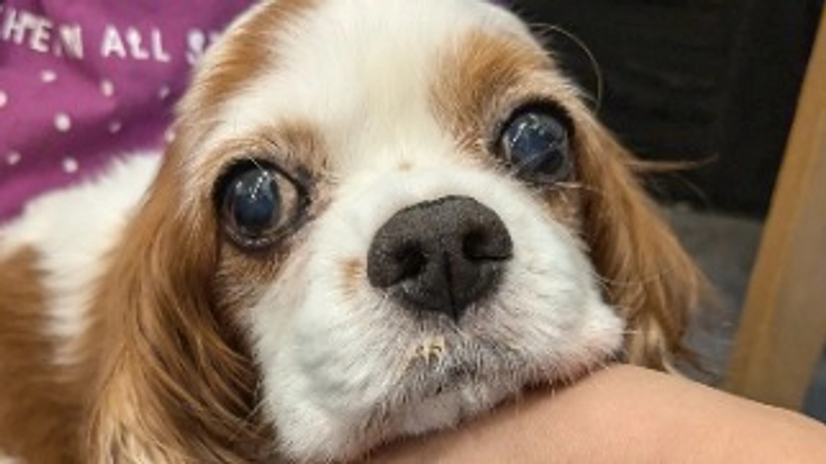 術後3日目で対面✨️