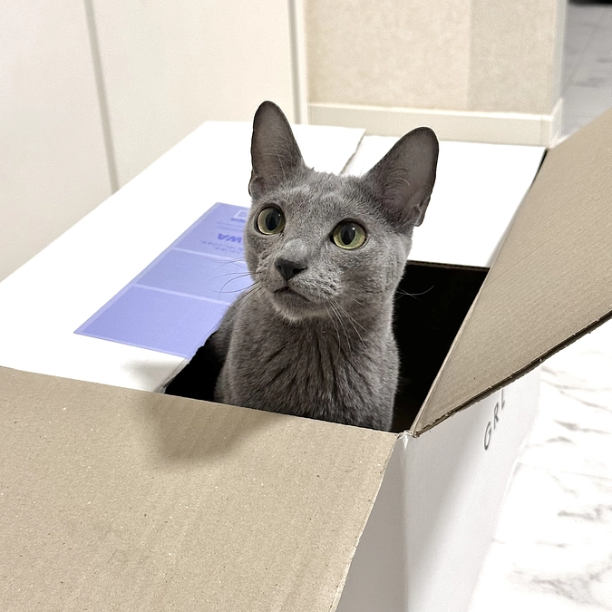 投薬18日目〜20日目