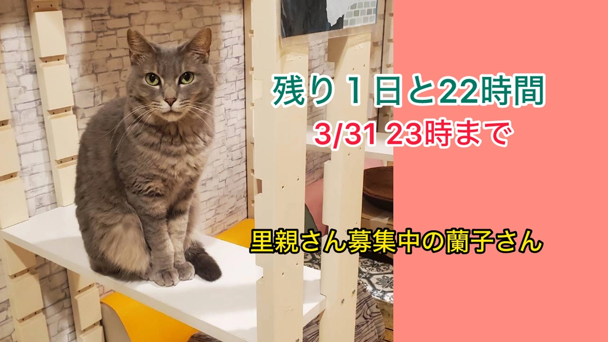 <残り１日と22時間>喜んで頂きたくて実はこんなことしています！