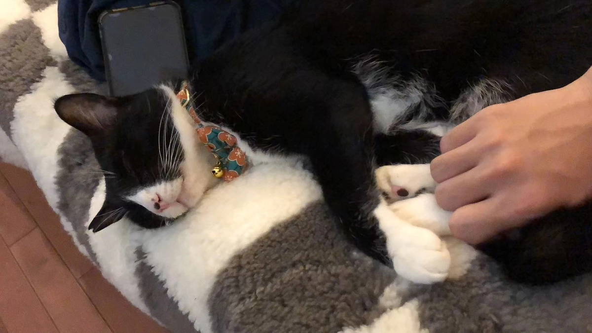 【終了まで残り6日間、目標達成まであと一歩です！】