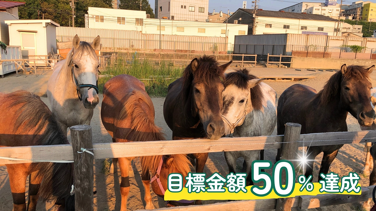 【50%達成】終了までは残り17日！目標達成までやり抜きます。