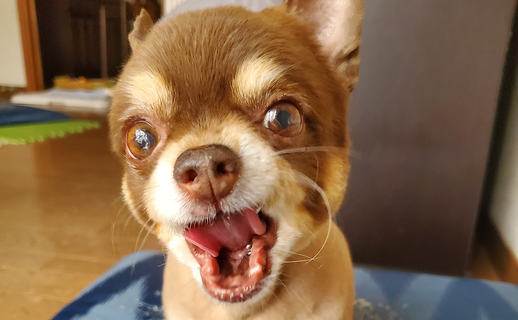 感謝のメッセージ　10000円