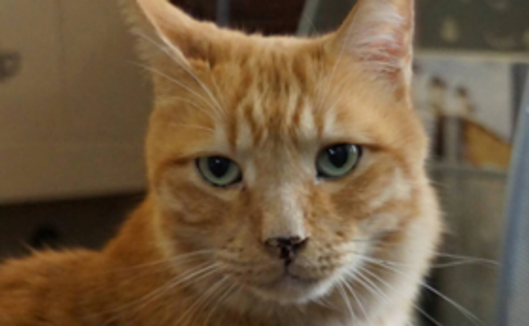 政五郎からお礼が届く!5,000円コース