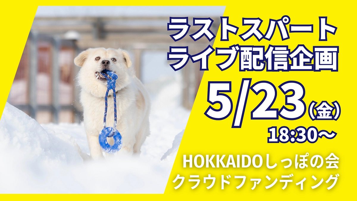 【5/23(金)と5/24(土)】ラストスパートライブ配信企画のお知らせ｜ぜひご参加ください