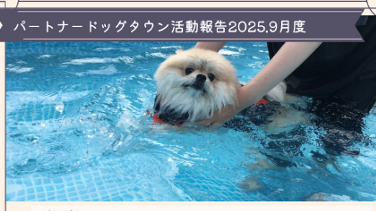 2025年9月度活動報告