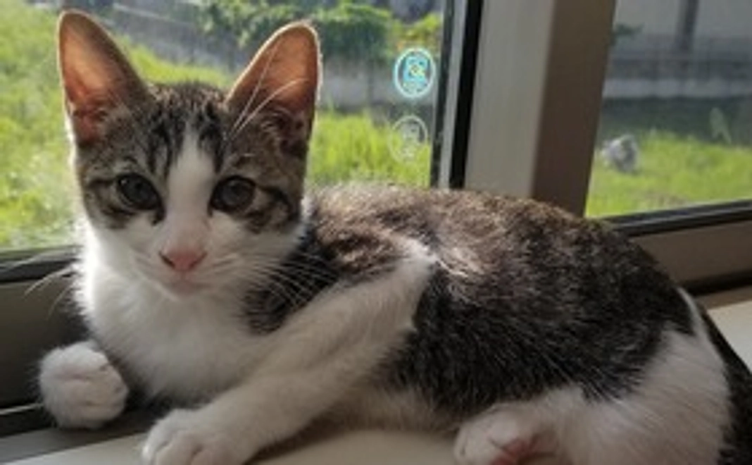 ご協力お願いいたします！