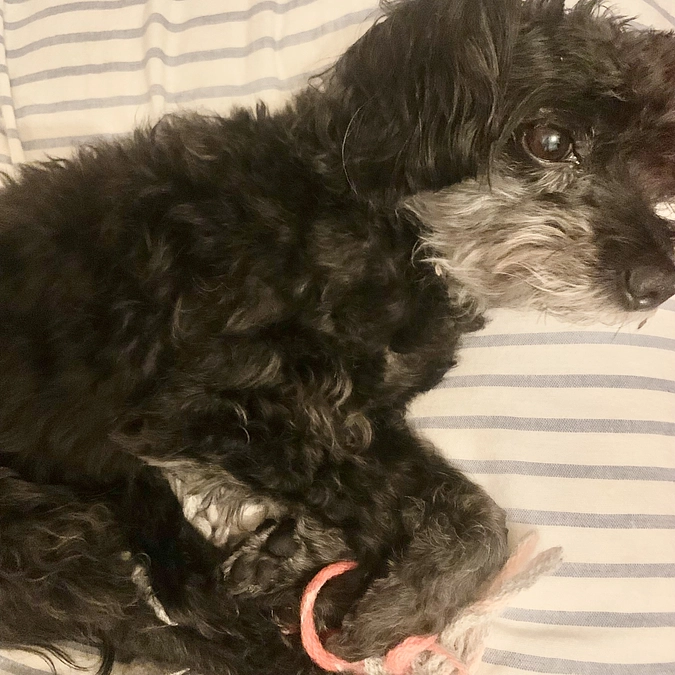 終了まで72時間