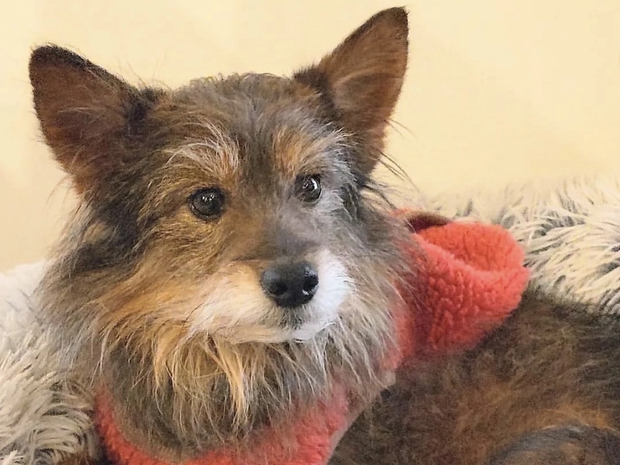 終了日まであと7日！レーベンがやってきたこと　それぞれの個性が出せる環境