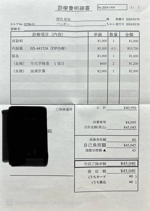 ありがとうございます