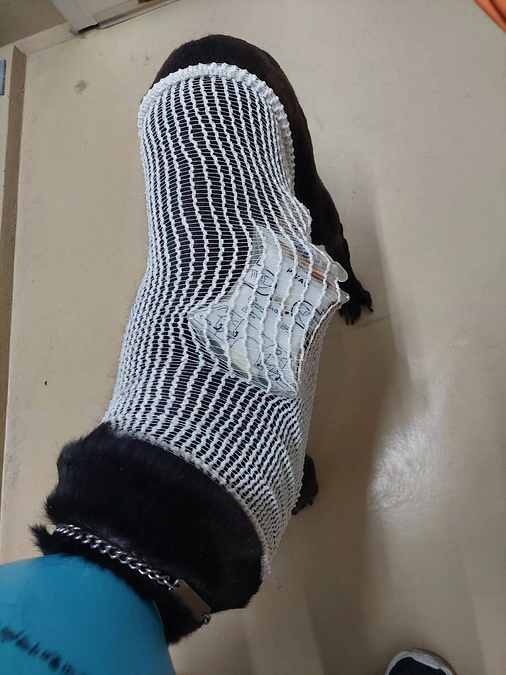 残り18日になりました。あと少しご支援をお願いいたします！