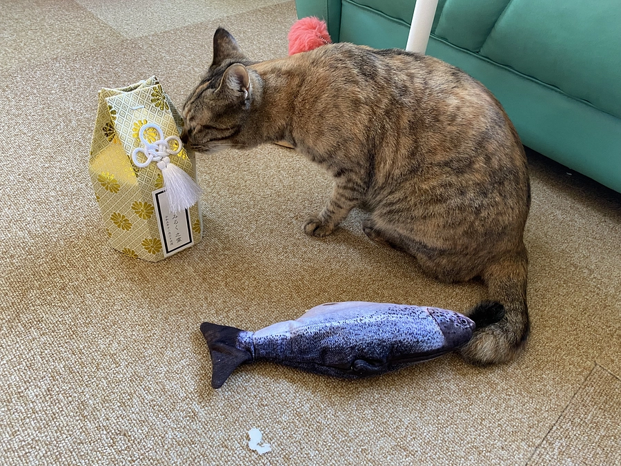 みるく、虹の橋のたもとに。ありがとうございました。