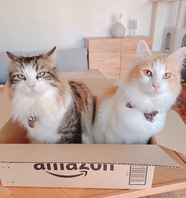 応援メッセージが届きました！