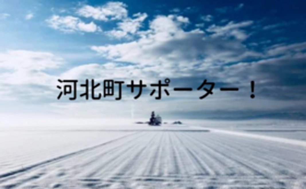 全力で河北町を応援！【お礼メールのみのリターン不要プラン】