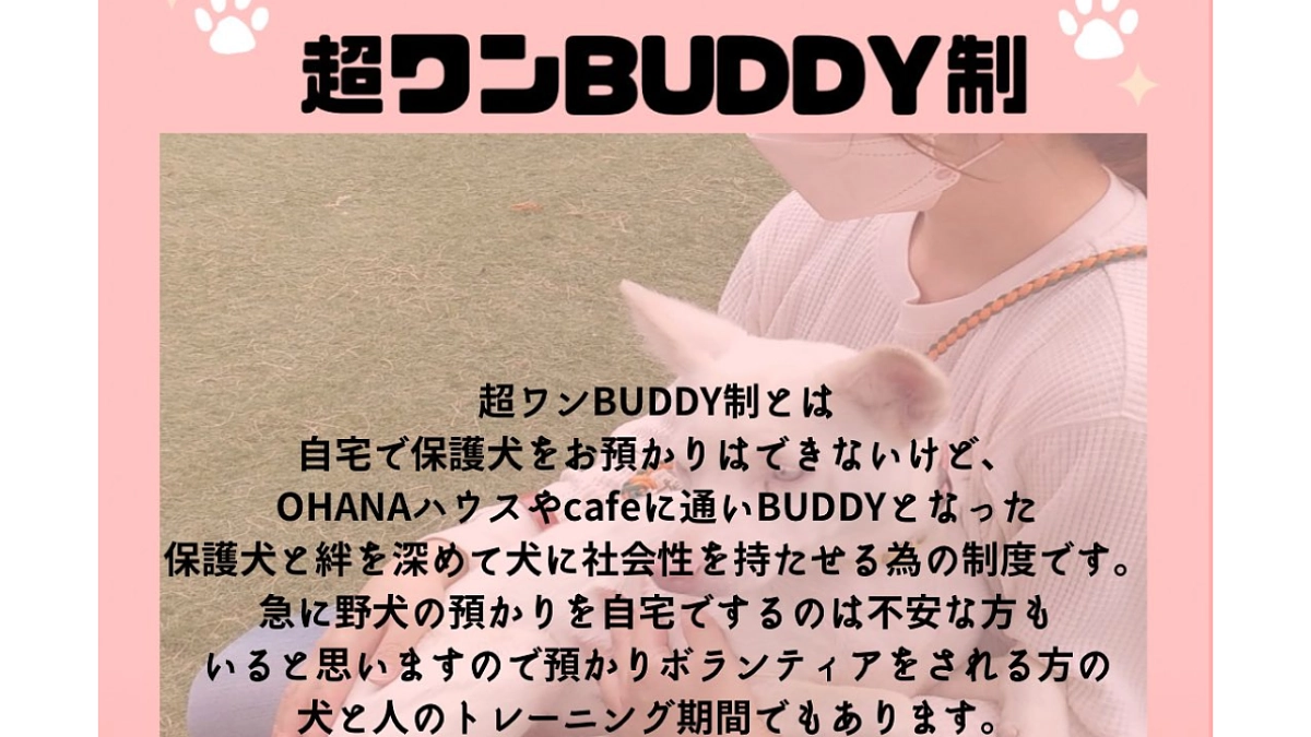《超ワンbuddy制度》  ~犬と私、一対一の深いお付き合い~