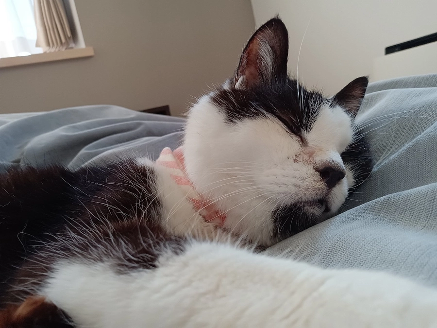 1/21腫瘍外来ご報告