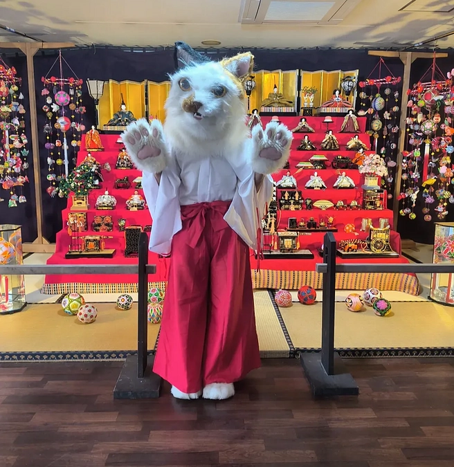 啓発活動や連携