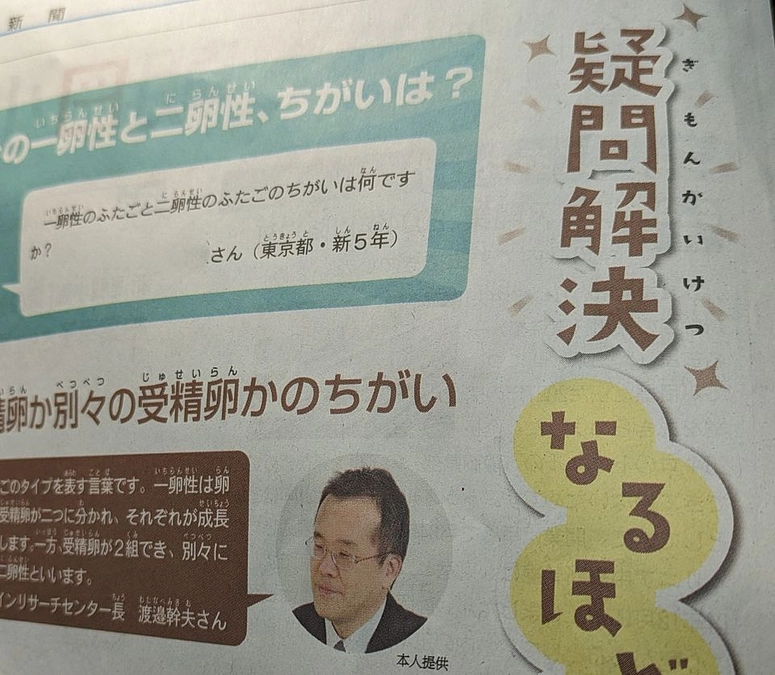 小学生新聞でふたごの解説をしました