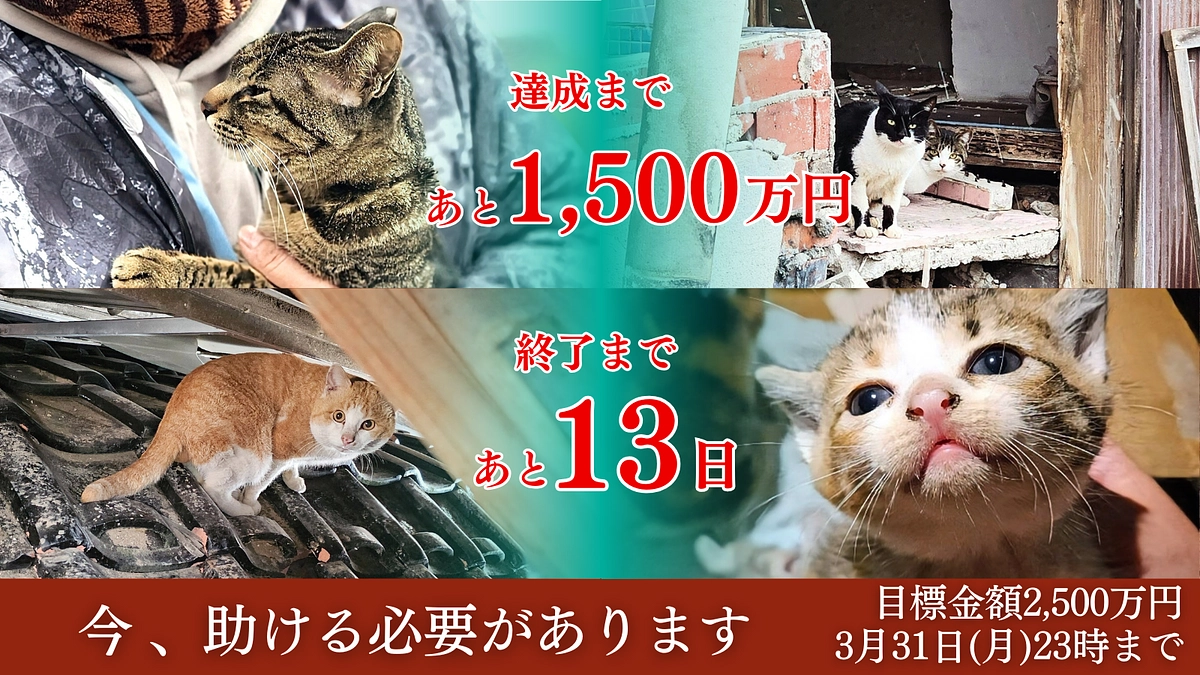 達成まであと1,500万円、終了まであと13日！！！