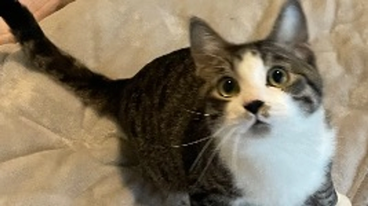 FIPでちょっと思う事