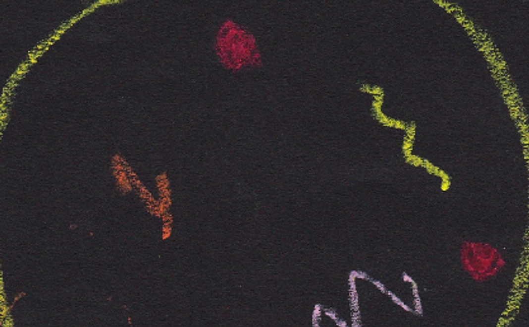 【子供たちに最高の花火を！】①