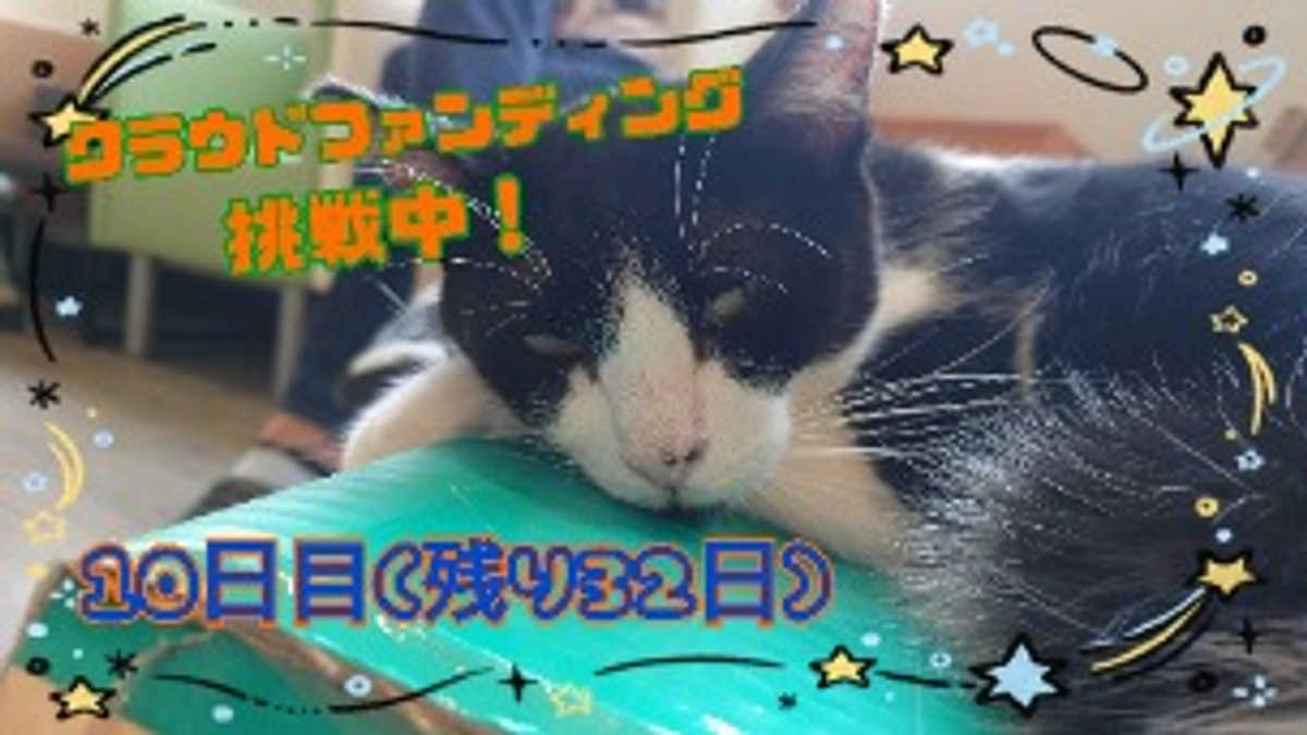 10日目 実はかまってちゃんな接客上手