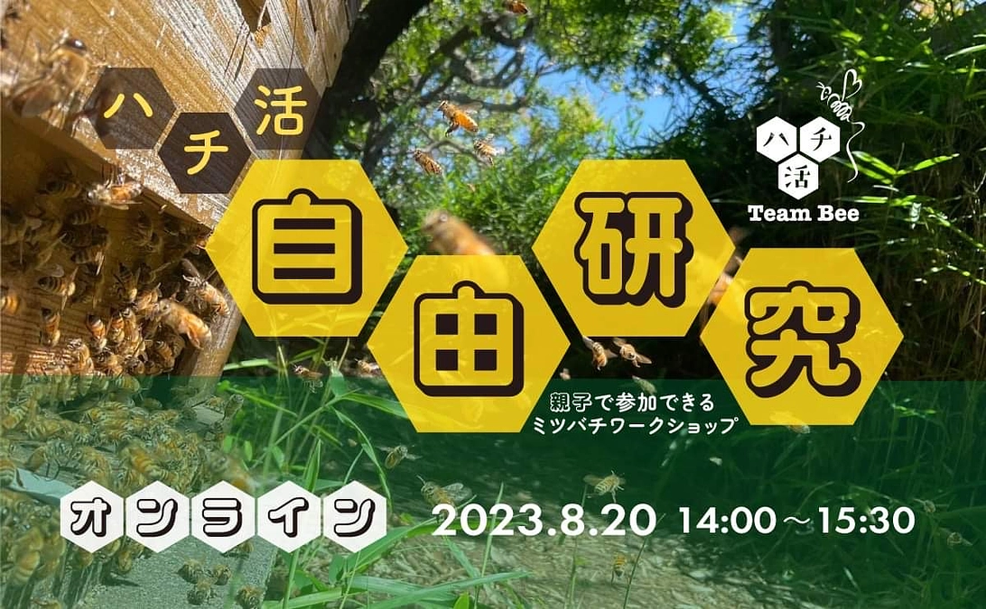 ハチ活自由研究イベントは明日開催！！