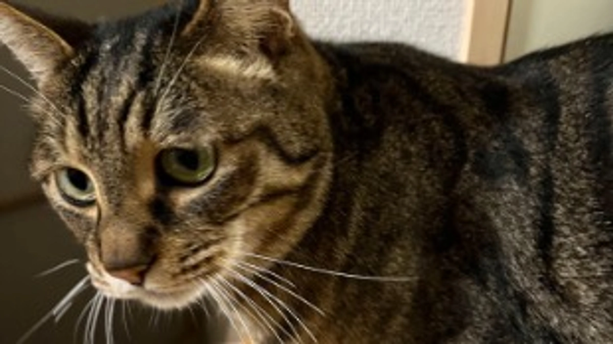 【今日のなっちゃん】6月16日