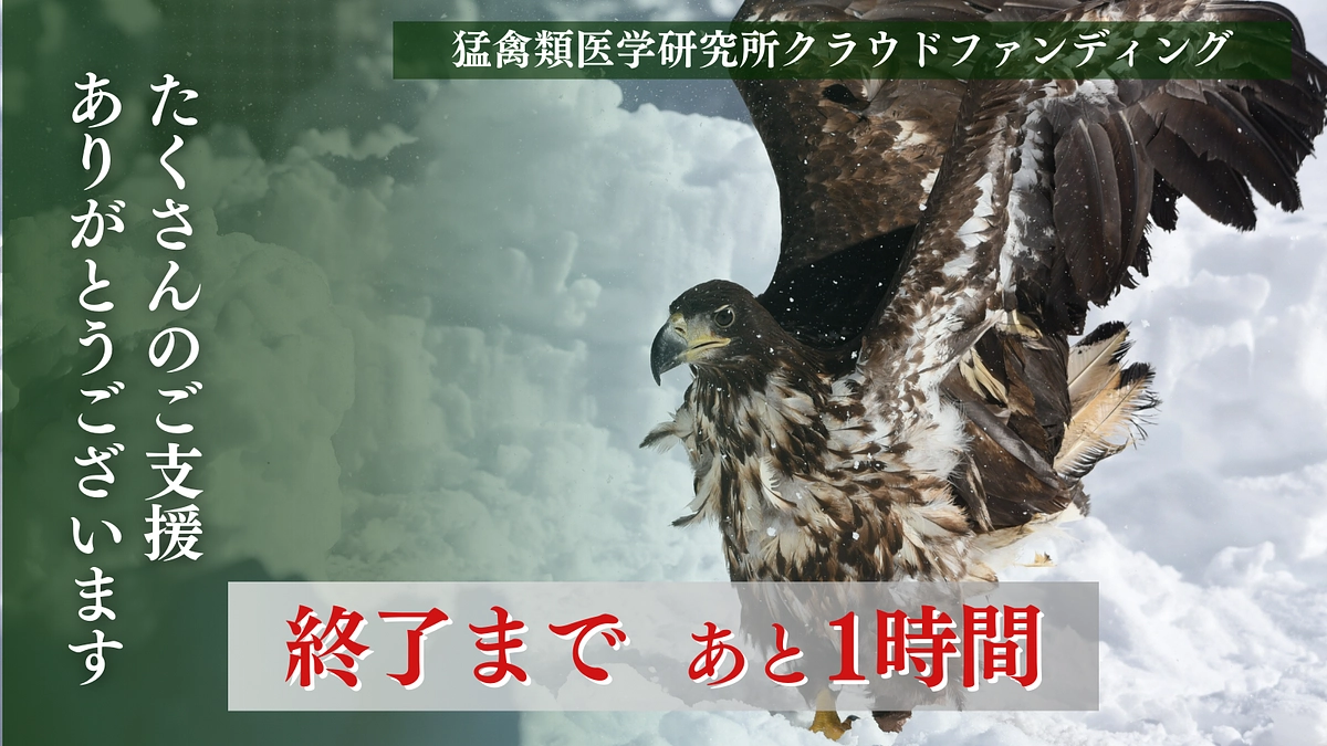 今回のクラファンは残り1時間を切りました！