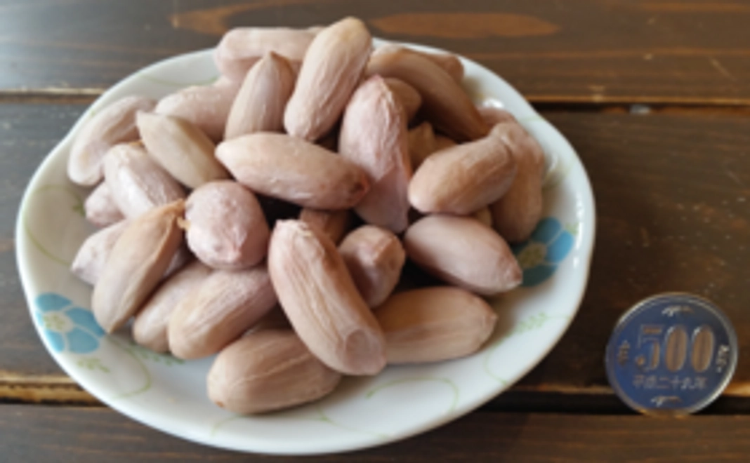 ＜おおまさりを食べて応援！＞四街道産ジャンボ落花生「おおまさり」