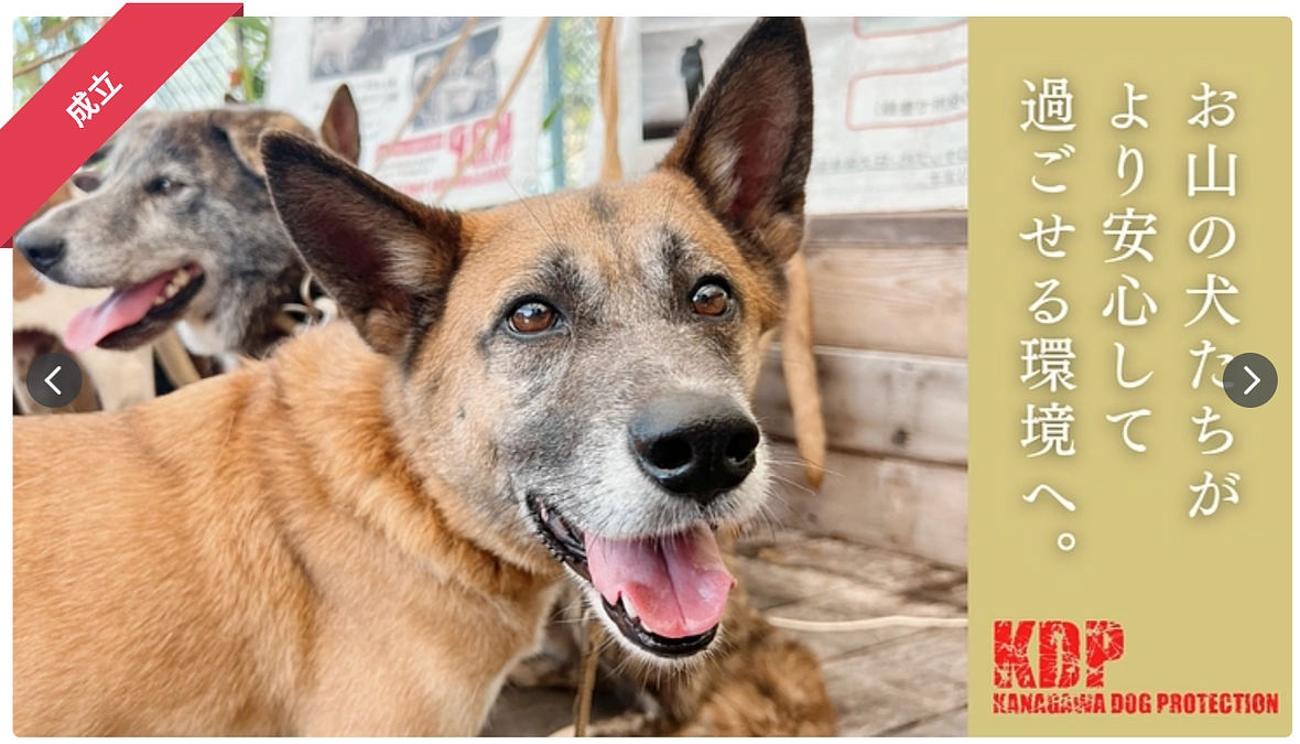 【最終目標達成のお礼】KDP菊池から皆様へメッセージ